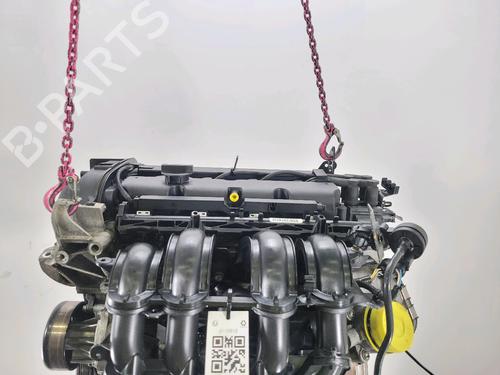 Engine FORD FIESTA VI (CB1, CCN) 1.25 | BP28533979M1