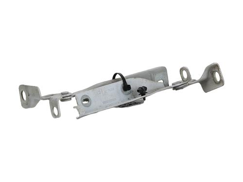 Hinge/Door check strap CITROËN C3 I (FC_, FN_)  | BP28310525C146 