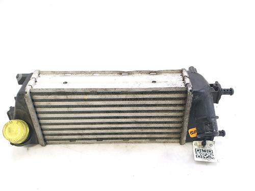 Intercooler FIAT 500 (312_) 0.9 (312AXG1A, 312.AXG11) | BP29820194M30 