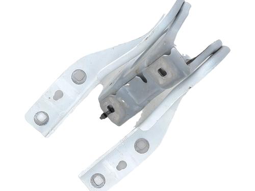 Used Hinge/Door check strap RENAULT CLIO V (B7_) 1.0 TCe 90 (B7MT) (91 hp) 31152512