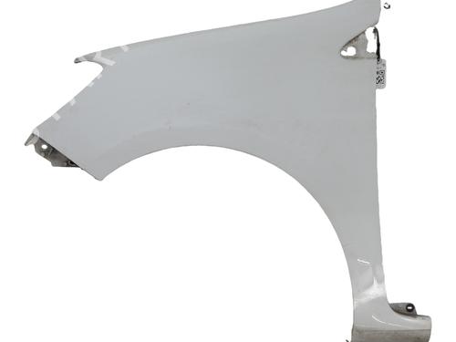 Forskærm venstre Forskærm venstre RENAULT CLIO III (BR0/1, CR0/1) 1.5 dCi (C/BR0G, C/BR1G) (68 hp) 34051408 34051408