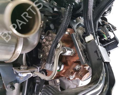 Engine FORD FOCUS II (DA_, HCP, DP) | BP39972324M1 - Image 6