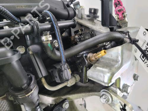 Engine FIAT BRAVO II (198_) 1.6 D Multijet (198AXH1B) | BP28506062M1 