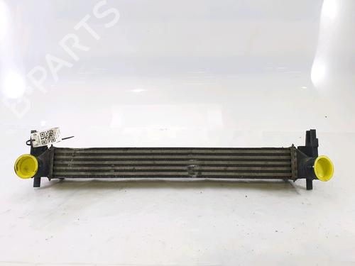 Used Intercooler SEAT IBIZA IV (6J5, 6P1) [2008-2017]  25452298