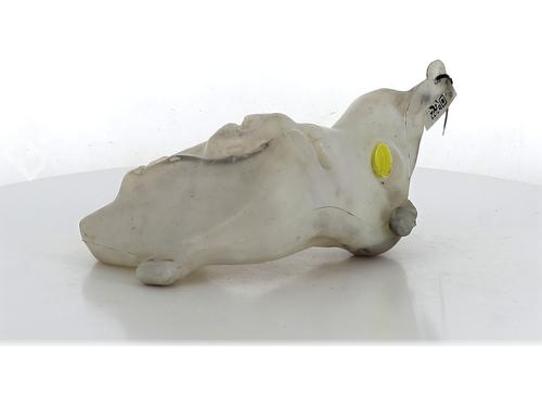 Used Windscreen washer tank PEUGEOT 307 (3A/C) 2.0 HDi 110 (107 hp) 22343218