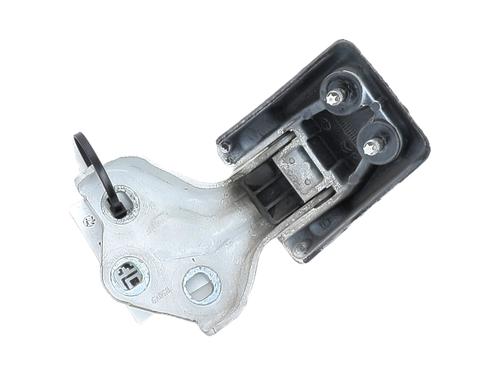 Hinge/Door check strap PEUGEOT EXPERT Van (V_) 2.0 BlueHDi 150 | BP27907109C146