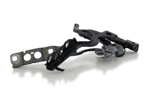 Hinge/Door check strap CITROËN C4 II (NC_) 1.6 HDi 90 | BP27907657C146 