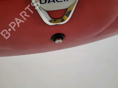 Tailgate DACIA SANDERO 1.4 (BS0C, BS0A, BS0G, BS1F, BS0E) | BP32006667C6