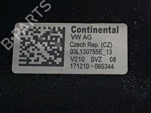 Engine VW POLO V (6R1, 6C1) 1.6 TDI | BP31122055M1 