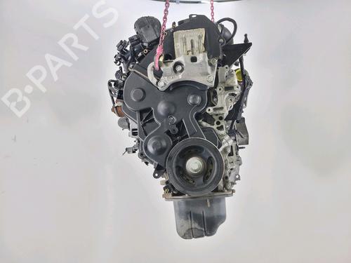 Used Engine FORD FIESTA VI (CB1, CCN) 1.5 TDCi (75 hp) 29265589