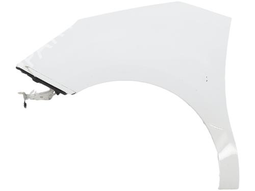 left-front-fenders-citroen-c3-ii-sc_-2009-40249208 main image