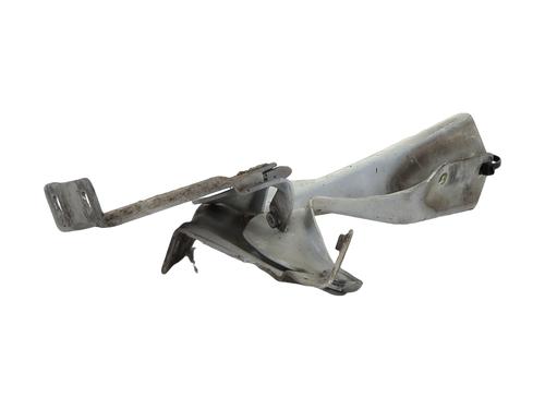 Hinge/Door check strap NISSAN MICRA IV (K13K, K13KK) 1.2 | BP29110590C146 