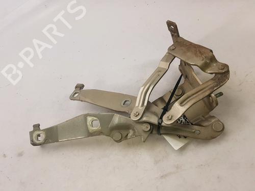 Hinge/Door check strap RENAULT GRAND SCÉNIC II (JM0/1_) 1.9 dCi (JM14) | BP27919430C146 