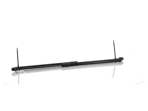 Tailgate lift support CITROËN C4 Picasso I MPV (UD_) 1.6 HDi 110 | BP27903105C138 