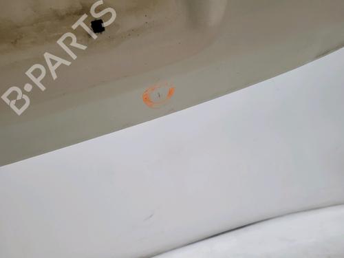 Tailgate FIAT 500 (312_) 1.3 D Multijet (312AXB1A) | BP30166305C6 