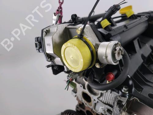Engine RENAULT KANGOO Express (FC0/1_)  | BP29055929M1 
