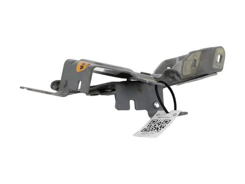 Hinge/Door check strap RENAULT CLIO IV (BH_) 1.5 dCi 90 | BP27913243C146 