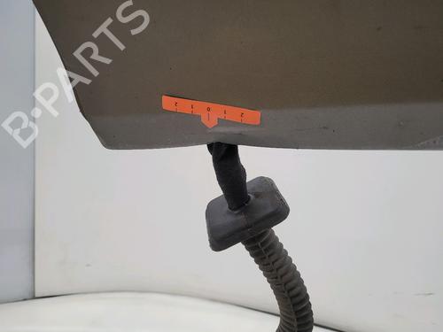 Left rear door RENAULT CLIO III (BR0/1, CR0/1) 1.5 dCi (C/BR0G, C/BR1G) | BP30054205C4 