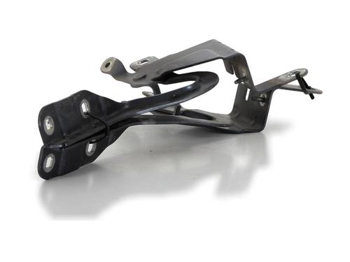 Hinge/Door check strap RENAULT CLIO IV (BH_) 1.5 dCi 90 | BP28720706C146 