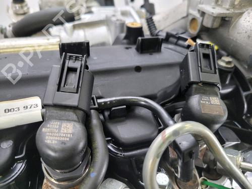 Engine RENAULT MEGANE III Coupe (DZ0/1_) 1.5 dCi (DZ09, DZ0D, DZ1F, DZ1G, DZ14, DZ29) | BP29443975M1 