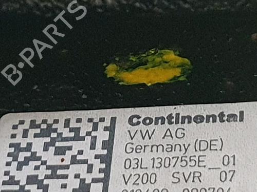 Engine VW GOLF PLUS V (5M1, 521)  | BP26970619M1  - Image 8