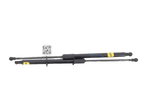 Used Tailgate lift support RENAULT SCÉNIC IV (J9_) 1.3 TCe 140 (140 hp) 27905364