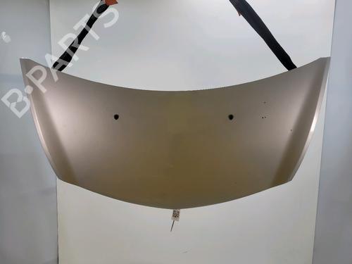 Used Hood RENAULT CLIO III (BR0/1, CR0/1) [2005-2014]  28536215