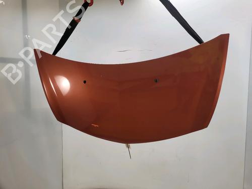 Used Hood RENAULT CLIO III (BR0/1, CR0/1) 1.5 dCi (BR0H, CR0H, CR1S, BR1S) (106 hp) 24120117