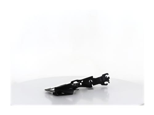 Hinge/Door check strap BMW X1 (E84) xDrive 20 d | BP36962085C146 - Image 3