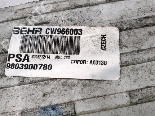 Intercooler PEUGEOT 208 I (CA_, CC_) 1.6 HDi / BlueHDi 75 | BP29522594M30 