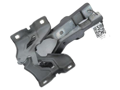 hingedoor-check-strap-dacia-sandero-iii-2021-31937987 main image