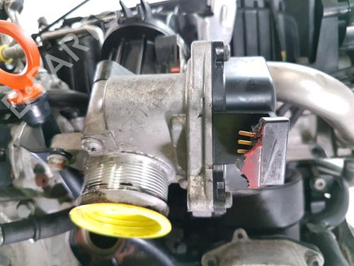 Engine SEAT IBIZA IV SC (6J1, 6P5) 1.6 TDI | BP24652202M1 