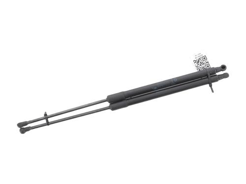 tailgate-lift-support-renault-scenic-iv-j9_-2016-2017-2018-2019-2020-2021-2022-33685776 main image