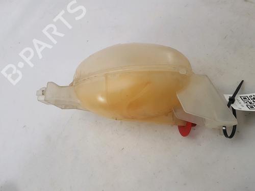 Expansion tank OPEL MOVANO B Van (X62) 2.3 CDTI FWD (FV) | BP13115705C120 