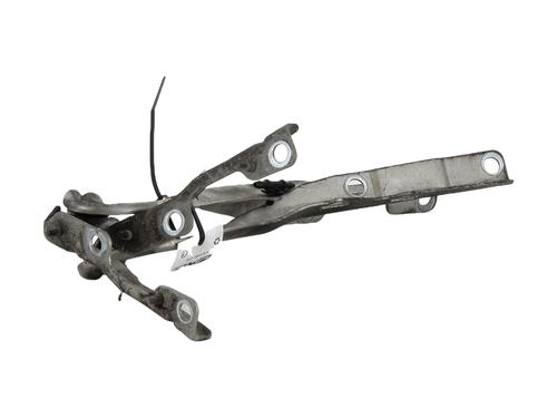 Hinge/Door check strap PEUGEOT 207 SW (WK_) 1.6 HDi | BP27912661C146