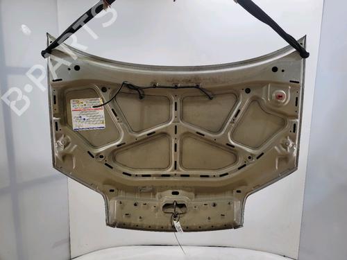 Hood FIAT PUNTO (188_) 1.2 Bifuel | BP29495628C1 