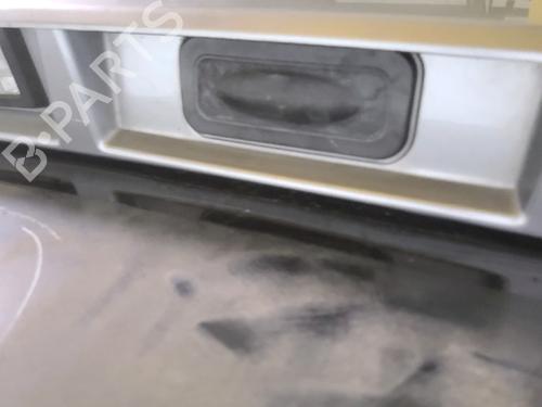 Tailgate RENAULT SCÉNIC III (JZ0/1_) 1.5 dCi | BP29874870C6