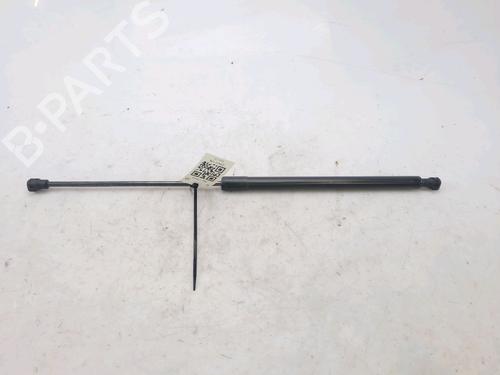 Used Hood lift support DACIA SANDERO II TCe 90 (B8M1, B8MA, B8AC) (90 hp) 27916990