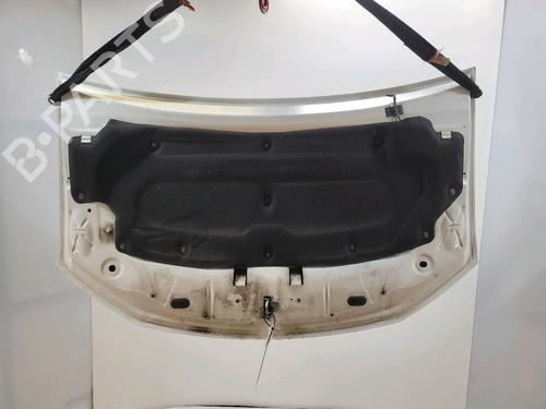 Hood DACIA SANDERO II TCe 90 (B8M1, B8MA, B8AC) | BP29623996C1 