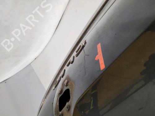 Tailgate RENAULT CLIO IV (BH_) 0.9 TCe 90 (BHNF, BHMA, BHMH, BHJK, BHJR) | BP29696511C6 