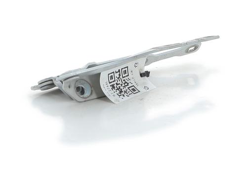 Hinge/Door check strap DACIA LODGY (JS_) 1.3 TCe 130 (JSNE) | BP30049542C146 