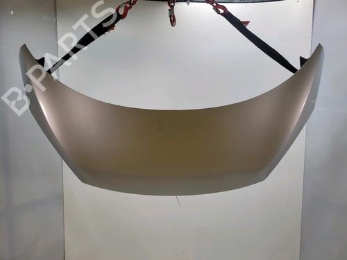 Used Hood RENAULT SCÉNIC III (JZ0/1_) 1.5 dCi (110 hp) 29443843