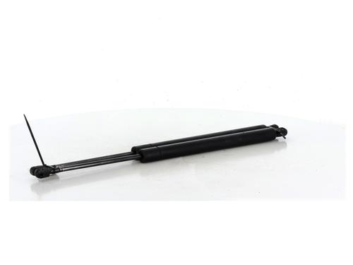 Hood lift support VW SHARAN (7M8, 7M9, 7M6) 1.9 TDI | BP27906108C139