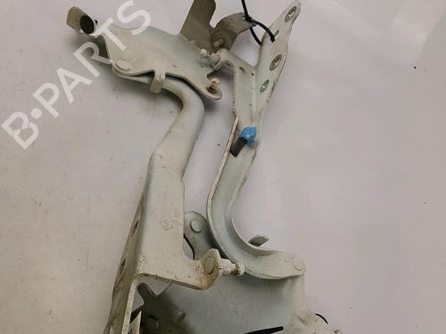 Used Hinge/Door check strap RENAULT GRAND SCÉNIC III (JZ0/1_) 1.6 dCi (JZ00, JZ12) (130 hp) 27919519