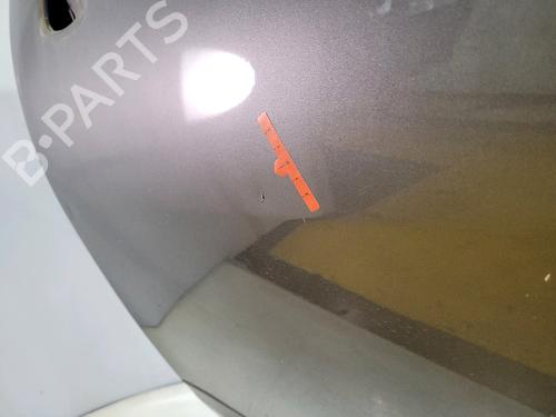 Left front door RENAULT SCÉNIC III (JZ0/1_) 1.2 TCe | BP29198615C2 