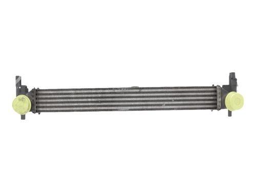 Intercooler Intercooler VW POLO V (6R1, 6C1) 1.6 TDI (90 hp) 36831262 36831262