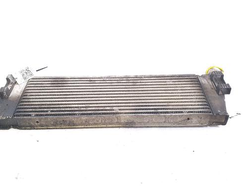 Used Intercooler RENAULT MEGANE II (BM0/1_, CM0/1_) 1.5 dCi (BM1E, CM1E) (106 hp) 29522183