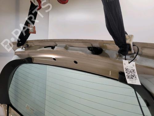 Tailgate RENAULT CLIO III (BR0/1, CR0/1) 1.5 dCi (C/BR0G, C/BR1G) | BP29495830C6 