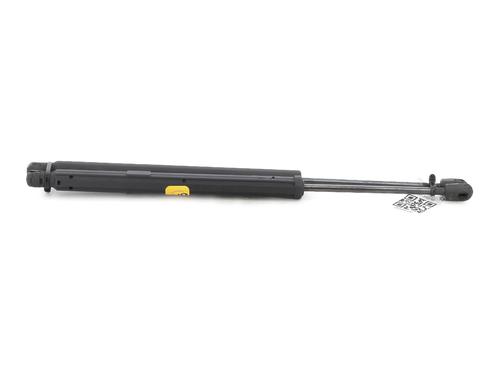 Hood lift support MERCEDES-BENZ R-CLASS (W251, V251) R 320 CDI 4-matic (251.022, 251.122) | BP27910948C139 