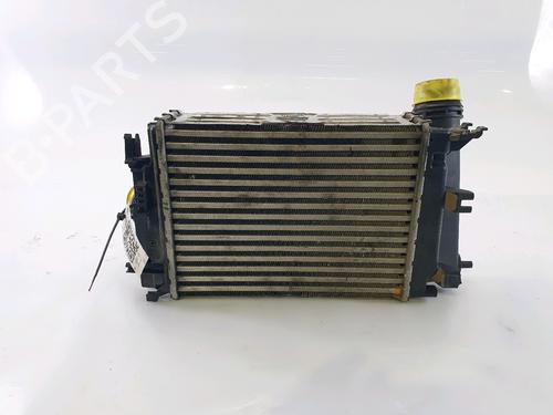 Used Intercooler RENAULT MEGANE IV Hatchback (B9A/M/N_) 1.0 TCe 115 (B9MD, B9MW) (114 hp) 28834081